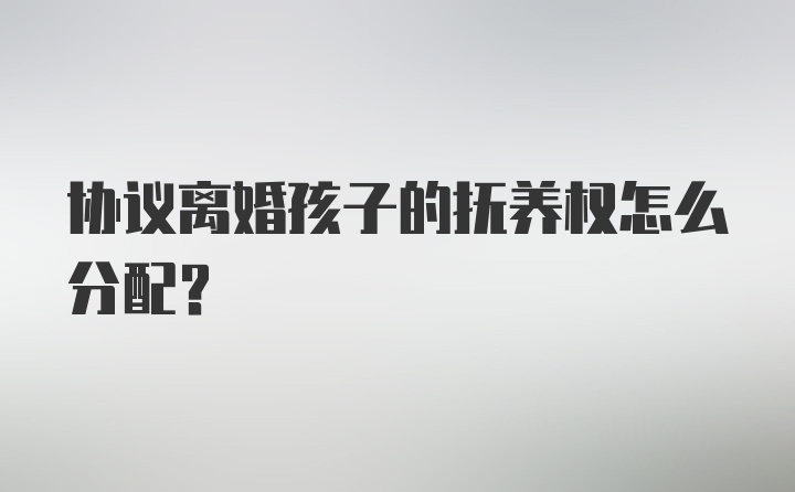 协议离婚孩子的抚养权怎么分配?