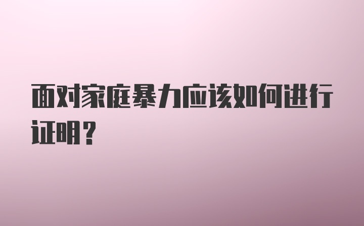 面对家庭暴力应该如何进行证明？