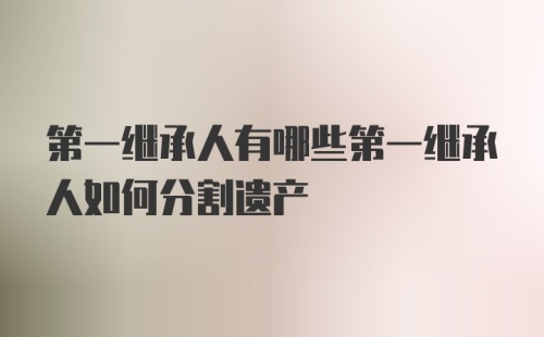 第一继承人有哪些第一继承人如何分割遗产