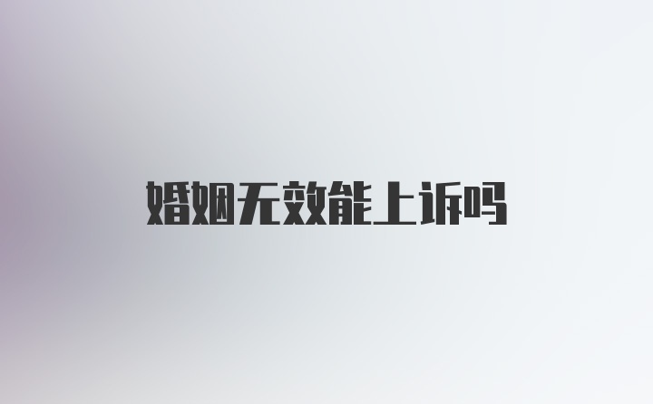 婚姻无效能上诉吗