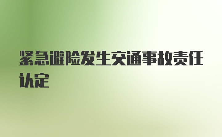 紧急避险发生交通事故责任认定