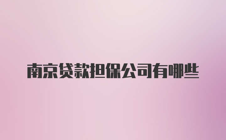 南京贷款担保公司有哪些