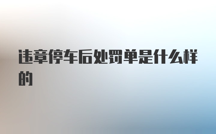 违章停车后处罚单是什么样的