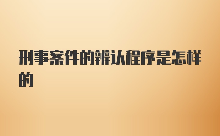 刑事案件的辨认程序是怎样的