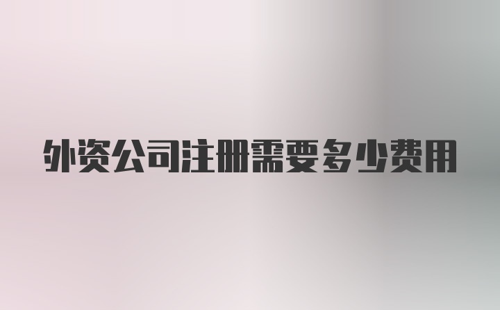 外资公司注册需要多少费用