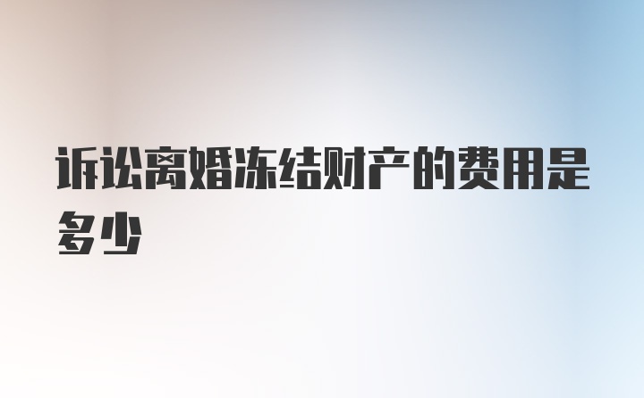 诉讼离婚冻结财产的费用是多少