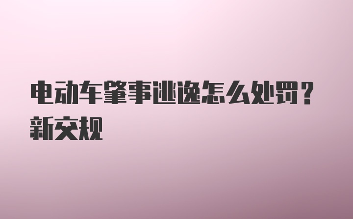 电动车肇事逃逸怎么处罚？新交规