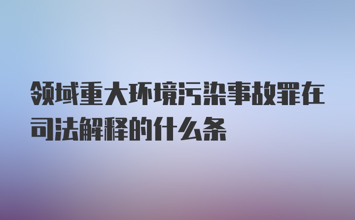 领域重大环境污染事故罪在司法解释的什么条