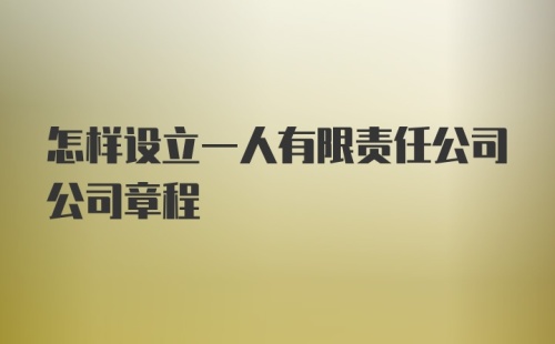 怎样设立一人有限责任公司公司章程