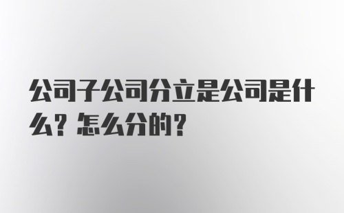 公司子公司分立是公司是什么？怎么分的？