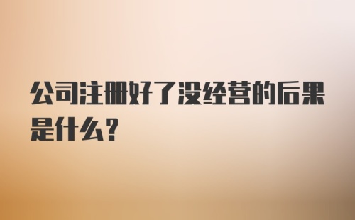 公司注册好了没经营的后果是什么？