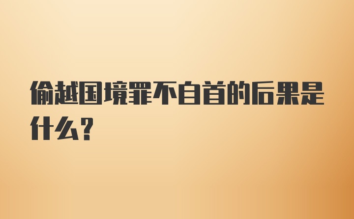 偷越国境罪不自首的后果是什么?