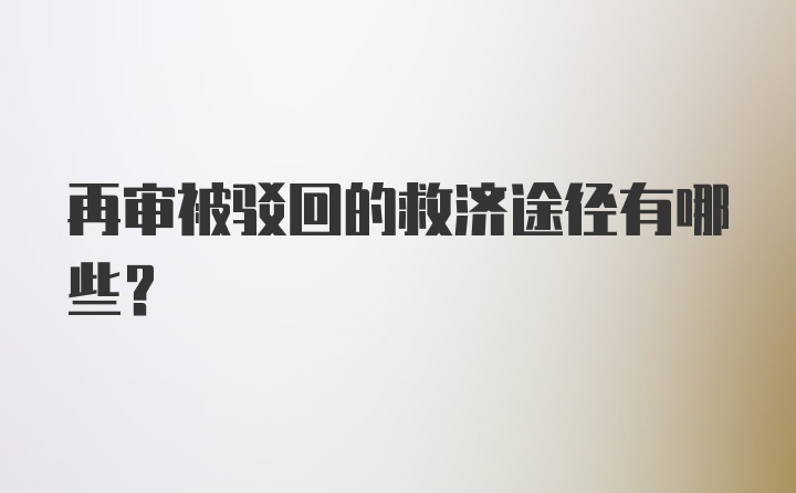 再审被驳回的救济途径有哪些？