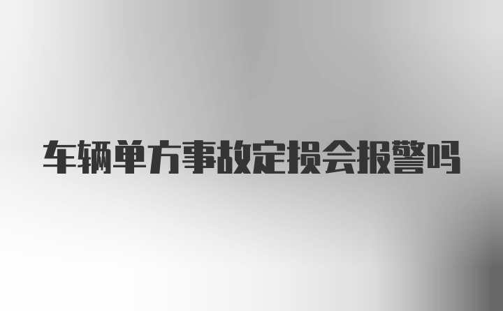 车辆单方事故定损会报警吗