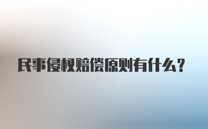 民事侵权赔偿原则有什么？