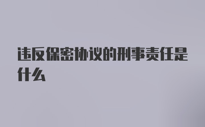 违反保密协议的刑事责任是什么