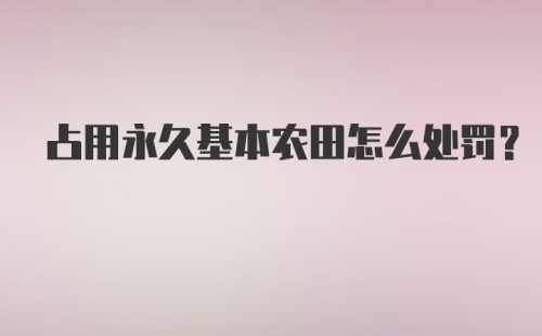 占用永久基本农田怎么处罚？