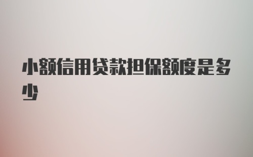 小额信用贷款担保额度是多少