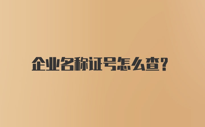 企业名称证号怎么查？