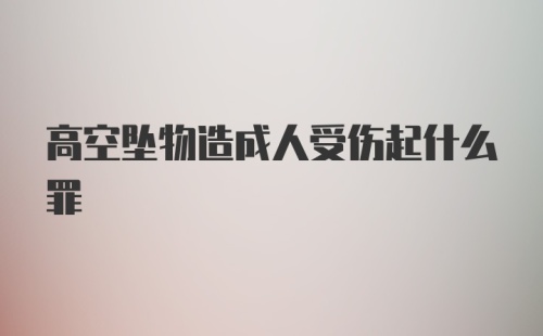 高空坠物造成人受伤起什么罪