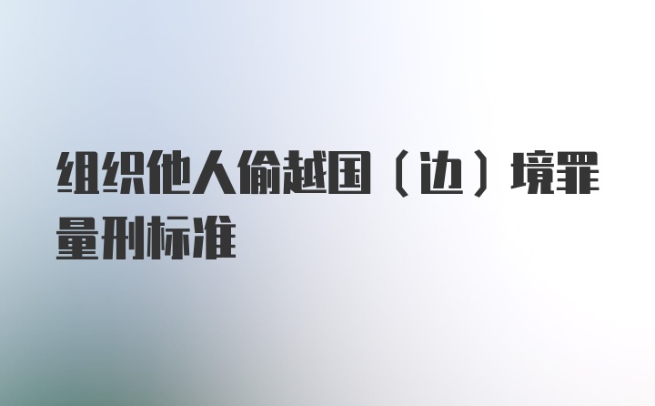 组织他人偷越国（边）境罪量刑标准