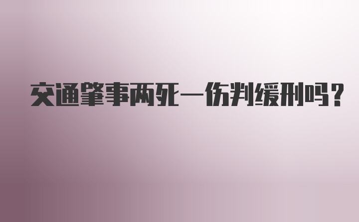 交通肇事两死一伤判缓刑吗？