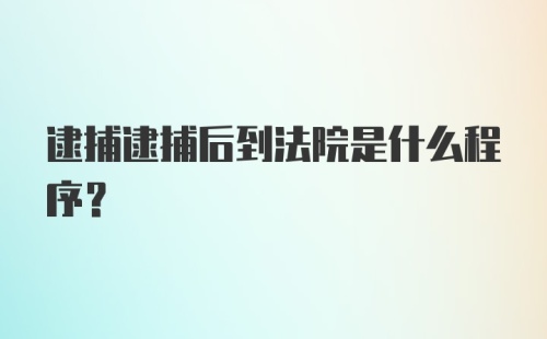 逮捕逮捕后到法院是什么程序？