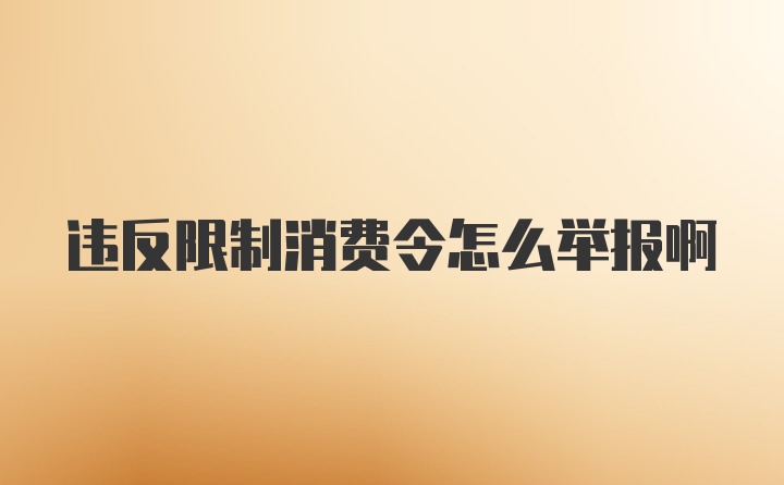 违反限制消费令怎么举报啊