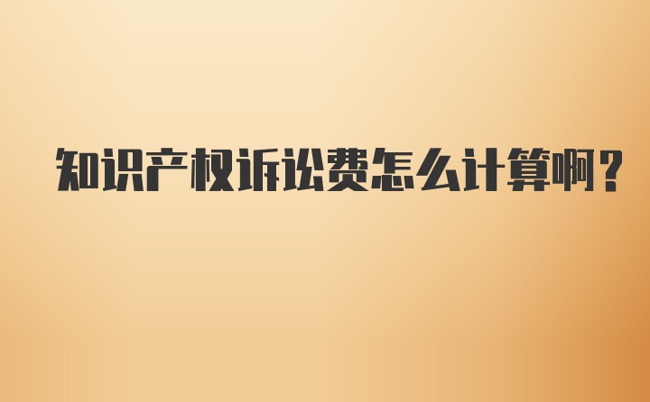 知识产权诉讼费怎么计算啊？