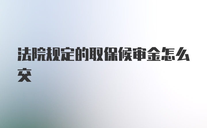 法院规定的取保候审金怎么交