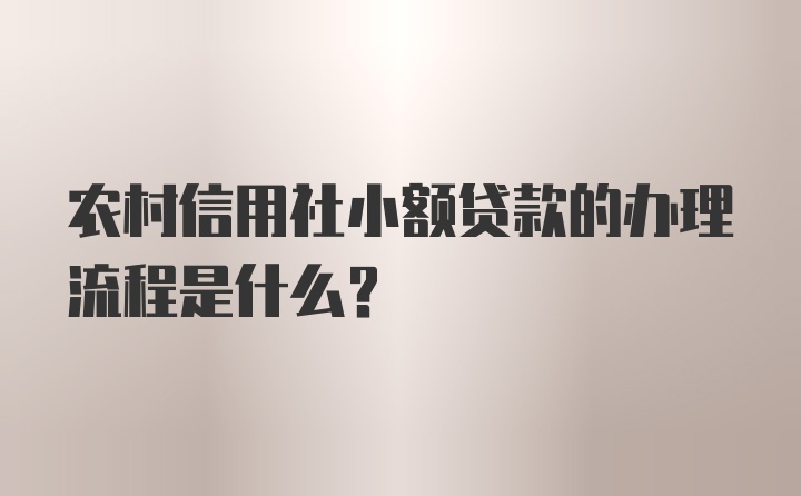 农村信用社小额贷款的办理流程是什么？