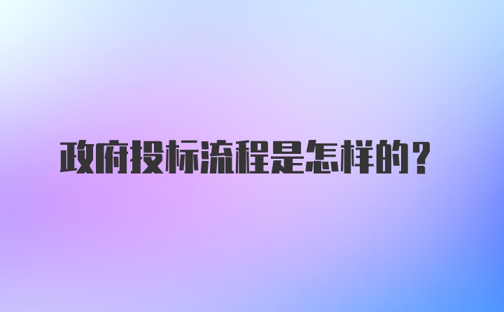 政府投标流程是怎样的？