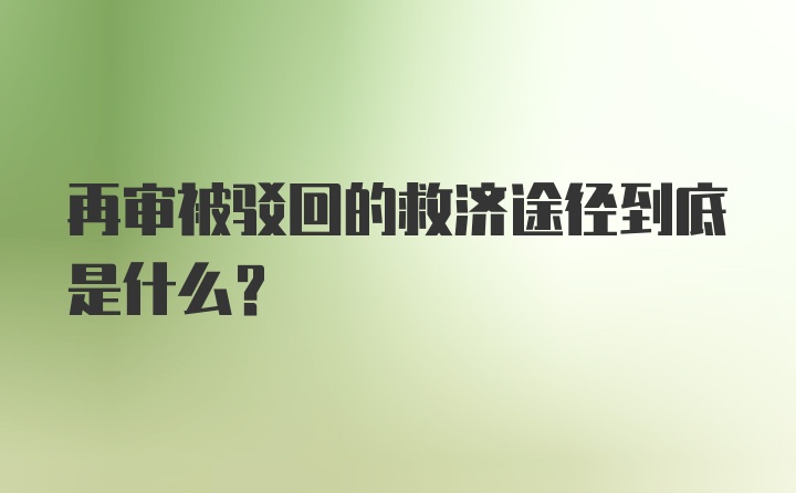 再审被驳回的救济途径到底是什么？