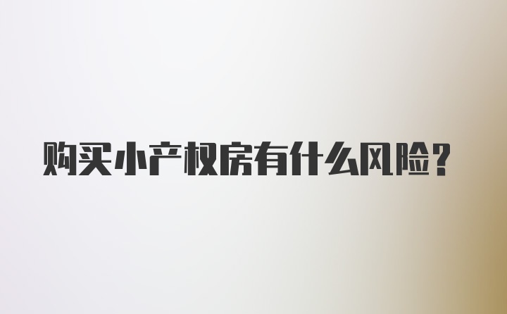 购买小产权房有什么风险？