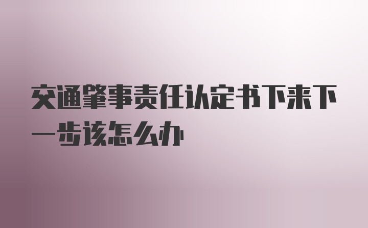 交通肇事责任认定书下来下一步该怎么办