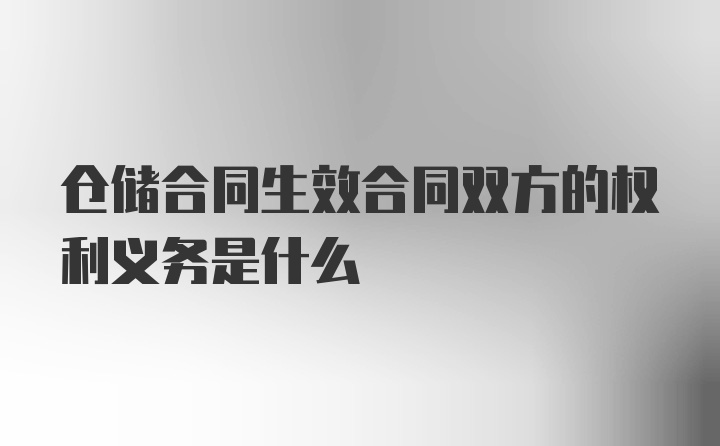 仓储合同生效合同双方的权利义务是什么