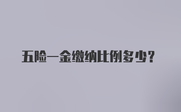 五险一金缴纳比例多少？