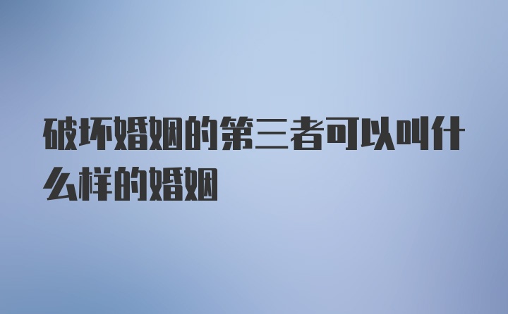 破坏婚姻的第三者可以叫什么样的婚姻