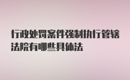 行政处罚案件强制执行管辖法院有哪些具体法