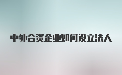 中外合资企业如何设立法人