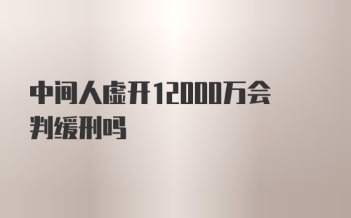 中间人虚开12000万会判缓刑吗