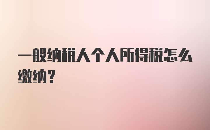 一般纳税人个人所得税怎么缴纳？