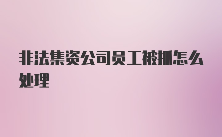 非法集资公司员工被抓怎么处理