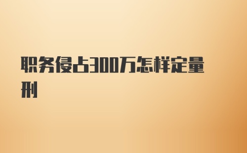 职务侵占300万怎样定量刑