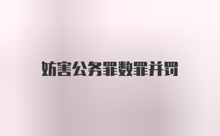 妨害公务罪数罪并罚