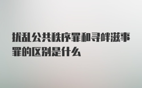 扰乱公共秩序罪和寻衅滋事罪的区别是什么