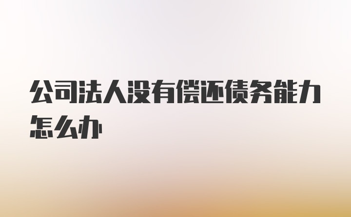 公司法人没有偿还债务能力怎么办