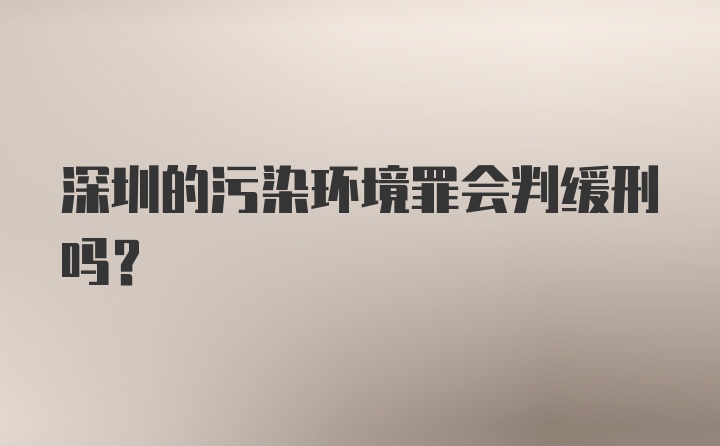 深圳的污染环境罪会判缓刑吗？