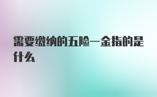 需要缴纳的五险一金指的是什么