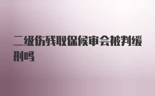 二级伤残取保候审会被判缓刑吗